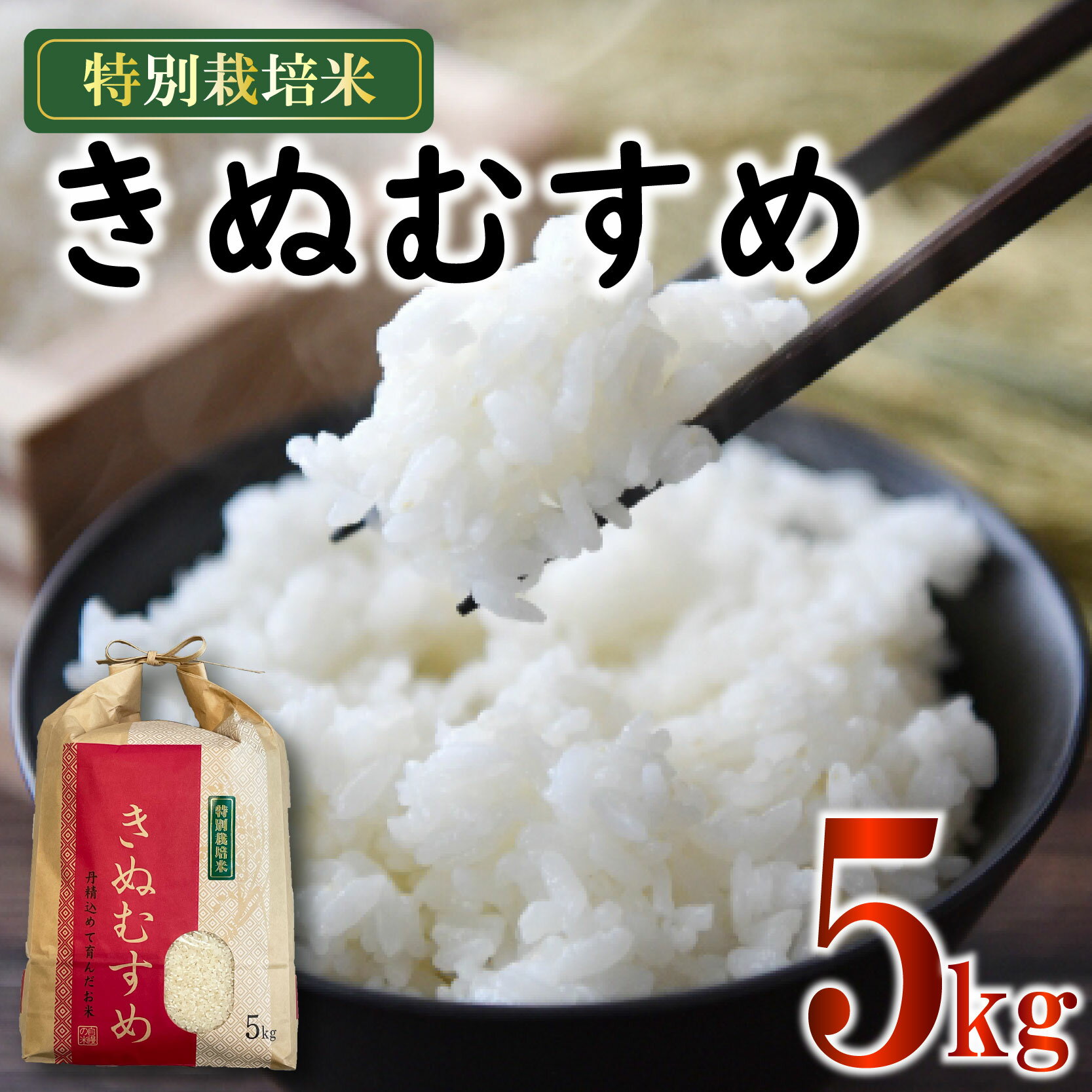 【ふるさと納税】 米 きぬむすめ 5kg 農家直送 特別栽培米 精米 令和7年度産 お米 贈り物 人気米 ご飯 白米 コメ 贈答 静岡県 藤枝市