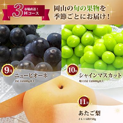 ふるさと納税 岡山市 【発送月固定定期便】岡山県産 フルーツ定期便A全3回 |  | 01
