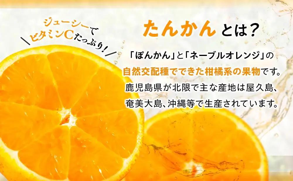 ＜先行予約／数量限定＞屋久島産たんかん 約5kg（Lサイズ／約30玉）【2027年2月中旬以降お届け】