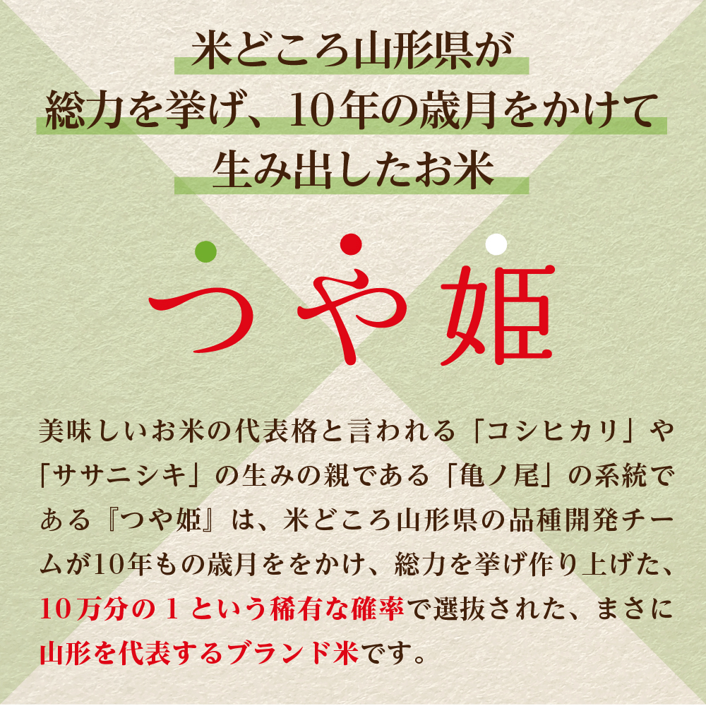 【令和6年産米】※2024年12月上旬スタート※ 特別栽培米 つや姫60kg（10kg×6ヶ月）定期便 山形県産 【米COMEかほく協同組合】