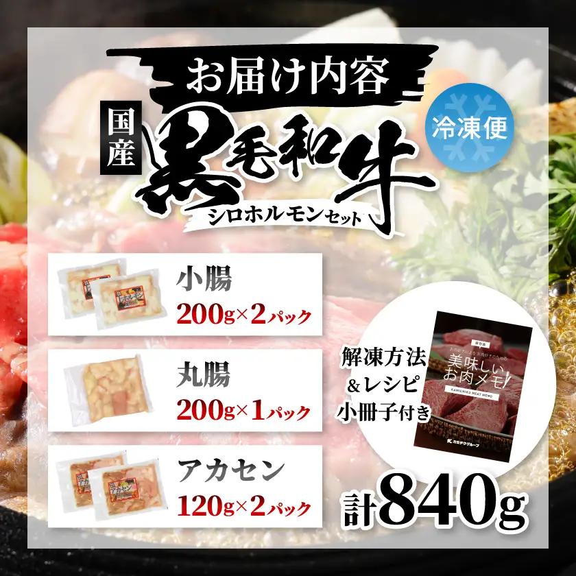 国産黒毛和牛シロホルモンセット840g A3-383枕【配送不可地域：離島】【1694678】