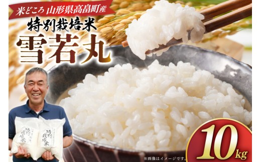 米 令和8年度産 特別栽培米 雪若丸 10kg [渡部ファーム 山形県 高畠町 tk06ays810029] お米 白米 精米 ごはん ご飯 ブランド米