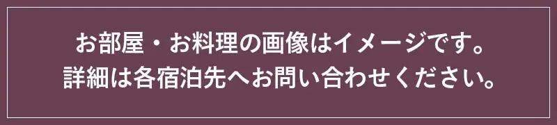 信玄の湯 湯村温泉　A5セットご利用券6枚