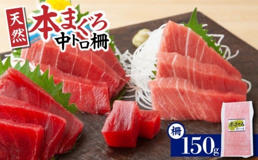 神奈川県漁連 天然本マグロ 中トロサク　M077-012-02