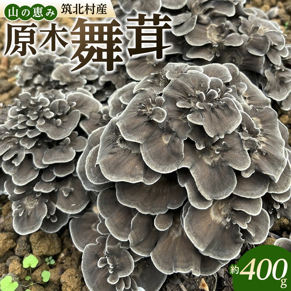 【ふるさと納税】先行予約【2026年9月中旬頃～順次発送予定】ちっくほっくふぁ～む　山の恵み　原木舞茸 400g