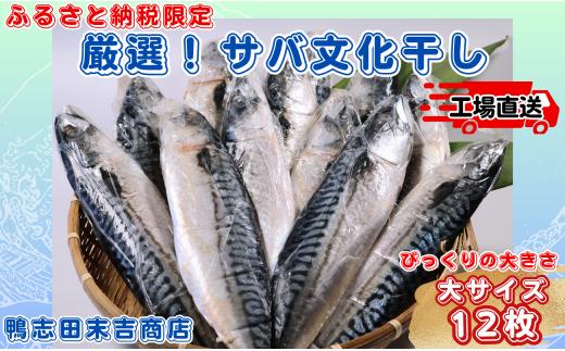 サバ文化干し 大 サイズ 12枚 ！ 冷凍 サバ さば 鯖 さば文化 ｻﾊﾞ文化 文化干 10000 10,000円 塩サバ 塩鯖 バラ凍結 小分け おかず 干物 夕食 こだわり 送料無料 厳選 肉厚 海鮮 ﾎﾞﾘｭｰﾑ 焼き鯖弁当 銚子 冷凍 お取り寄せ 贈り物 人気 グルメ ふるさと納税限定 工場直送 美味しい サバ文化 千葉県 銚子市 鴨志田末吉商店