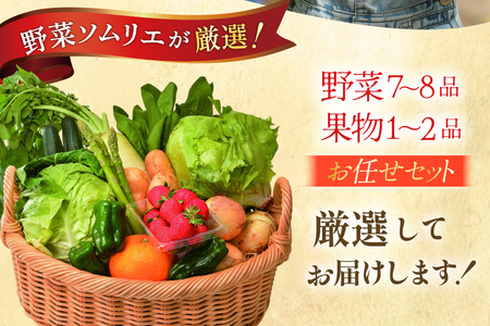 野菜 果物 セット 安心の地元野菜と果物のお任せセット 定期便 12回