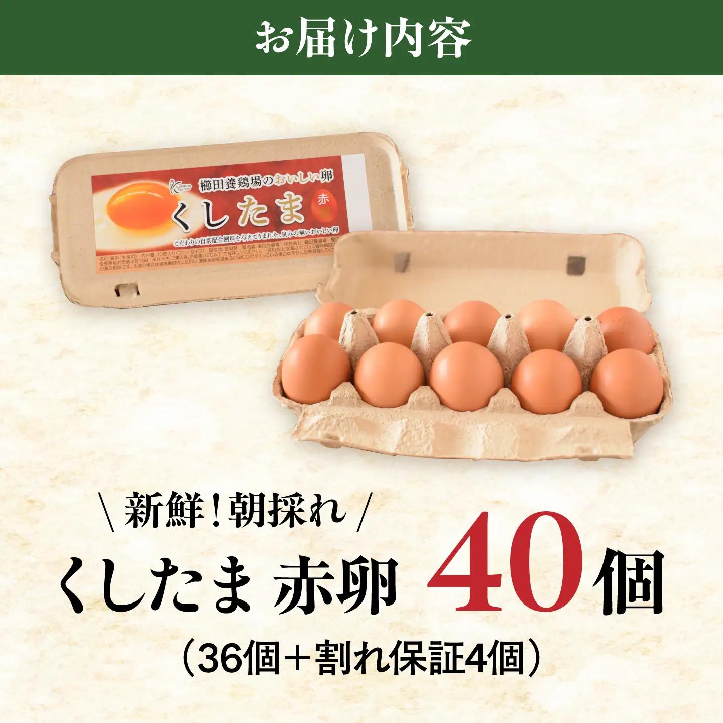 くしたま赤卵 40個（36個＋割れ保証4個）/ 卵 たまご 鶏卵 赤卵 大容量 / 稲沢市 / 櫛田養鶏場[BMAY004]