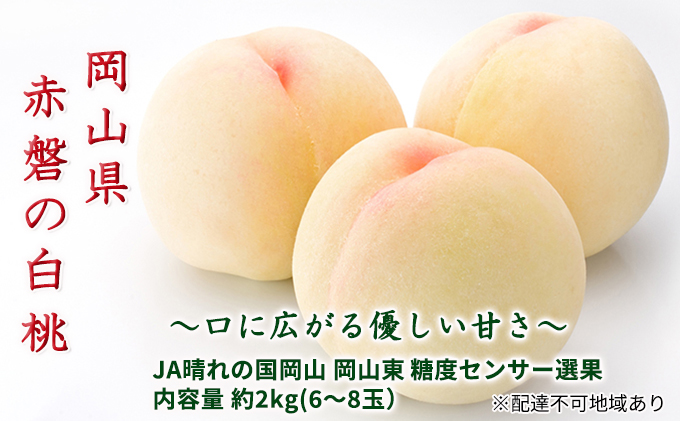 桃 2026年 先行予約 赤磐の 白桃 約2.0kg 6～8玉 JA晴れの国 糖度センサー選果 もも モモ 岡山県 赤磐市産 国産 フルーツ 果物 ギフト デザート 果肉 