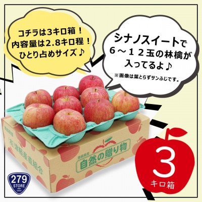 りんご シナノスイート 2022年産 家庭用  2.8kg (6～12玉) 津軽産直組合 青森県産【配送不可地域：離島】