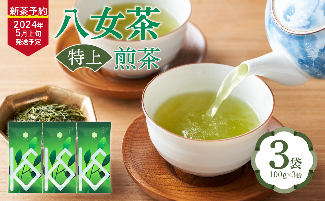 
【2024年新茶予約】八女茶 特上煎茶　100g×3袋【2024年5月上旬発送予定】
