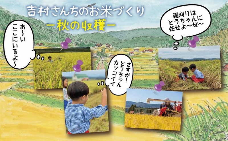 ｜従来品種｜ 魚沼産 コシヒカリ 2kg ×2袋 計4kg 米 こしひかり お米 コメ 新潟 魚沼 魚沼産 白米 送料無料 新潟県産 精米 産直 農家直送 取り寄せ 吉村さんちのお米 新潟県 十日町市