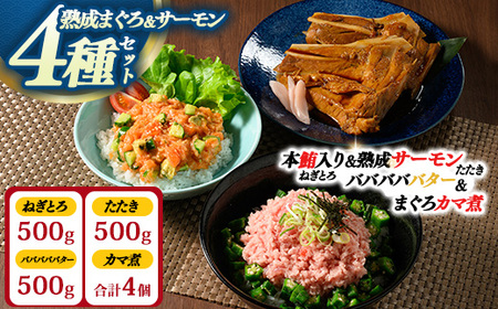 【県水の熟成まぐろ】熟成本鮪入りねぎとろ、熟成サーモンたたき、バババババター、まぐろカマ煮詰め合わせセット（本鮪入りたたき、サーモンたたき各500g×1、バババババター500g×1、まぐろカマ煮2個入り×2） | 高品質 鮪 まぐろ 脂 たたき まぐろのたたき メバチ キハダ 寿司 すし 海鮮 小分け 海鮮丼 手巻き寿司 神奈川 相模原 ※北海道・沖縄・離島への配送不可