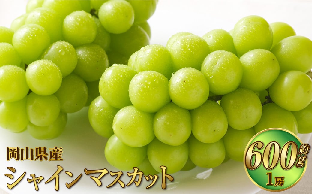 
            岡山県産 シャインマスカット 晴王 約600g（1房） 果物 フルーツ くだもの ぶどう ブドウ 葡萄 マスカット 種なし 種無し 冷蔵 国産 奈義町 【2025年7月上旬～8月下旬発送予定】
          