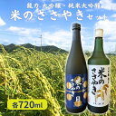 【ふるさと納税】龍力 大吟醸 ・ 純米大吟醸 米のささやき 飲み比べ セット 各720ml 本田商店 加東市特A地区産山田錦使用 [日本酒 酒 お酒 四合瓶 贈答品 辛口 ]　 晩酌 家飲み 日本酒飲み比べ 日本酒セット