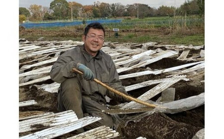 解凍するだけ！毎日の新しい健康習慣に！自然薯味付とろろ100ｇ３０ｐセット