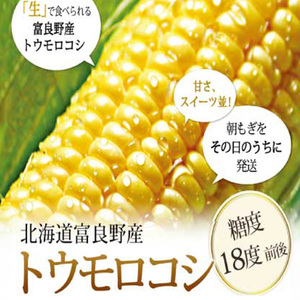 【2024年8月下旬～発送】北海道 富良野産 生で食べられる とうもろこし【恵味（めぐみ）】 2Lサイズ 5本 (スイートベジタブルファクトリー) とうもろこし とうきび コーン 野菜 新鮮 甘い ジ