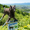 【ふるさと納税】究極の野生動物忌避装置「モンスターウルフ」