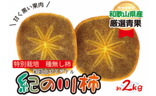 特別栽培 紀の川柿 約2kg 【2026年10月中旬～2026年11月上旬頃より順次発送】