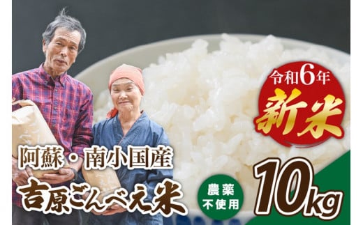 令和6年産・新米 ごんべえ米 10kg 令和6年産 白米 玄米 食べ比べ 新米 精米 米 お米 玄米対応可能 ご飯 ごはん 無農薬 農薬不使用 産地直送 熊本 南小国 送料無料