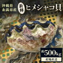 【ふるさと納税】【産地直送】「海人のまち」で水揚げ!新鮮なヒメシャコ貝 約500g