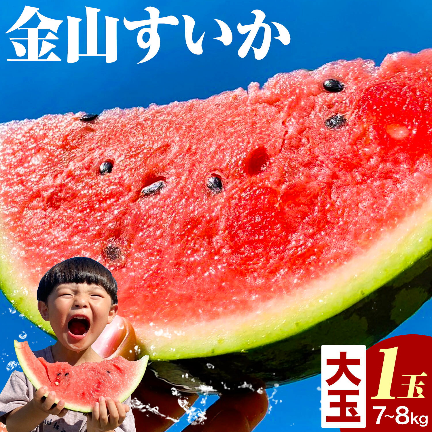 【ふるさと納税】先行予約 すいか 金山すいか 大玉 1玉 西川農園《2027年5月上旬-5月中旬頃出荷》熊本県 荒尾市 スイカ 西瓜 フルーツ 果物 大玉すいか 幻のすいか 1番すいか