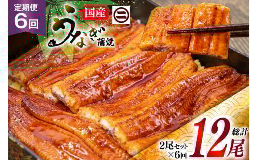 うなぎ 国産 蒲焼 定期便 145g前後 2尾 6回 総計12尾 真空パック タレ 山椒 付き 冷凍 [マルニうなぎ加工 静岡県 吉田町 22424475] 鰻 ウナギ 蒲焼き うなぎ蒲焼 うなぎ蒲焼き 鰻蒲焼き ウナギ蒲焼き 国産うなぎ蒲焼き unagi
