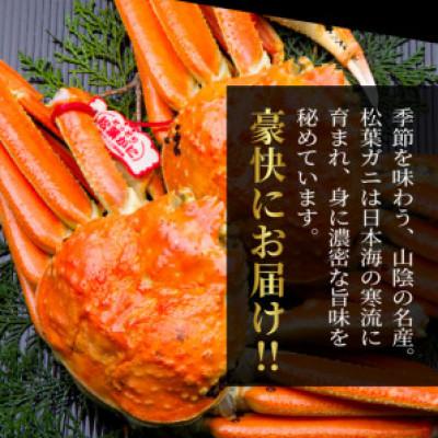 ふるさと納税 智頭町 【11月中旬以降順次発送】ブランドタグ付ボイル松葉ガニ(400〜500gを2枚)　OM-23 |  | 01