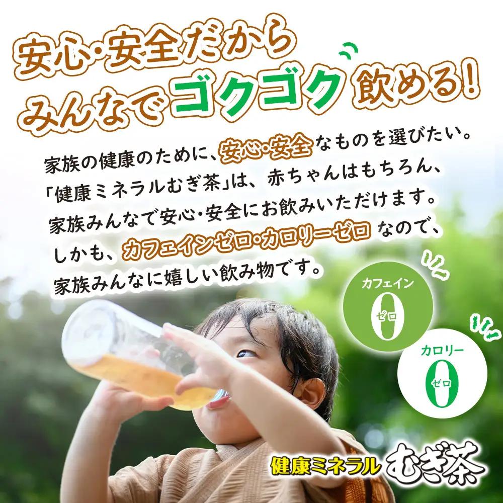 『定期便：全12回』健康ミネラルむぎ茶2L×6本【50001501】