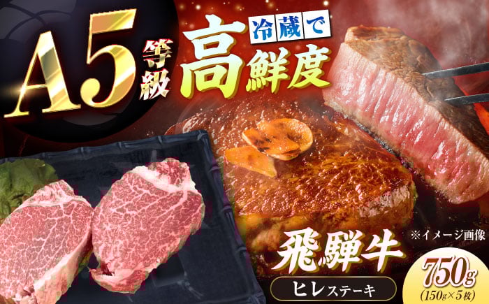 
            【チルド（冷蔵）発送！】 「飛騨牛」 A5等級 ヒレステーキ 150g×5枚 / 牛肉 焼肉 鉄板焼き 網焼き BBQ/ 恵那市 / 東美濃農業協同組合 [AUFX019]
          