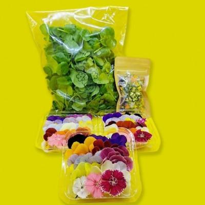 ふるさと納税 播磨町 食用のエディブルフラワー(生花×3パック・ドライ×1袋)・サラダクレソン×1袋【Cセット】