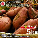 【ふるさと納税】＼ 新物・発送中 ／ 令和6年産 種子島 安納いも ＼ Sサイズ 生いも 5kg ／まなつか農園　在庫なくなり次第受付終了