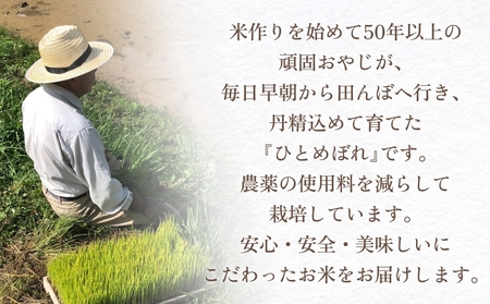 ＜先行受付＞【令和7年 玖珠産・ひとめぼれ 精米 10kg】頑固おやじのこだわり米(精米済み・減農薬) 大分県産 米 令和7年産 頒布会 米 単一米 限定 国産 お米 即納 精米 コメ こめ