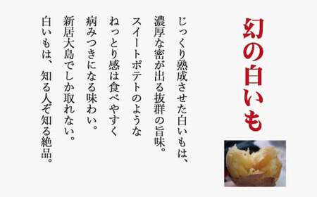 【先行予約】【数量限定】 新居浜大島産 幻のさつまいも 『白いも』 5kg 七福芋 白芋 希少