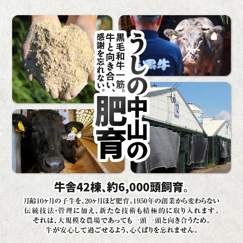 2471 【鰻も牛もどっちもイエェェェーイ！4】鹿児島県大隅産「カット」 うなぎ蒲焼 80g×1枚 うしの中山和牛100% ハンバーグ 2個 KN050-013 肉 牛肉 魚 冷凍