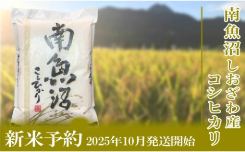 【令和8年産　新米予約】定期便３ヶ月【無洗米】5kg南魚沼しおざわ産コシヒカリ【2026年10月上旬から1ヶ月以内に順次発送予定】