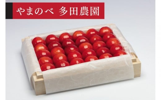 ＜先行予約＞【特選やまがた紅王】桐箱詰 約300g【やまのべ多田耕太郎のさくらんぼ 多田農園】