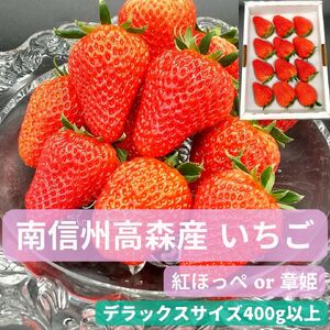 【数量限定】いちご (紅ほっぺ or 章姫)　 デラックスサイズ　400g以上