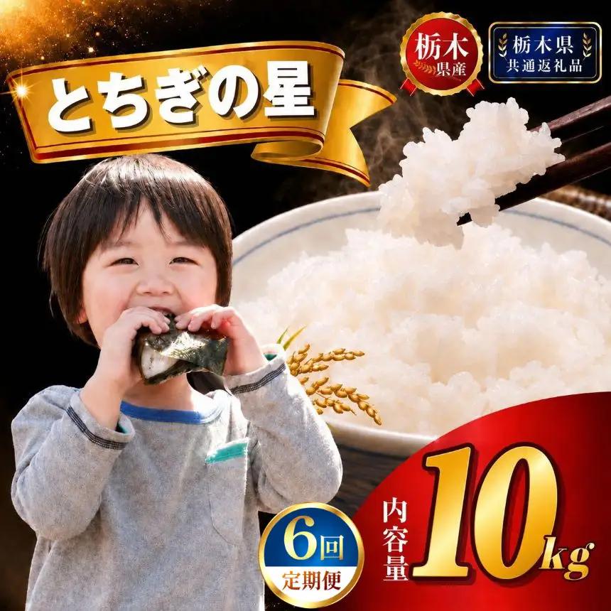 【新米】定期便6回 とちぎの星 10kg(5kg×2袋)【栃木県共通返礼品 栃木県産】AB | 栃木県 下野市