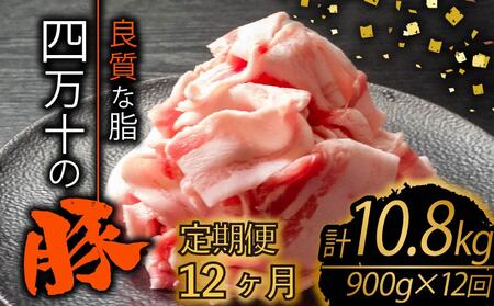 【定期便12回】高知県産 ブランドポーク 豚肉 切り落とし 計10.8kg（900g×12ヶ月連続お届け) 2Dコース | 肉 豚肉 国産豚肉 高知県産豚肉 豚肉 大容量 豚肉 しゃぶしゃぶ 豚肉 バラ肉 小分け 小間切れ スライス 切り落とし 冷凍 真空パック 簡単調理 細切れ 大容量 肉 高知県 須崎市 TM32000