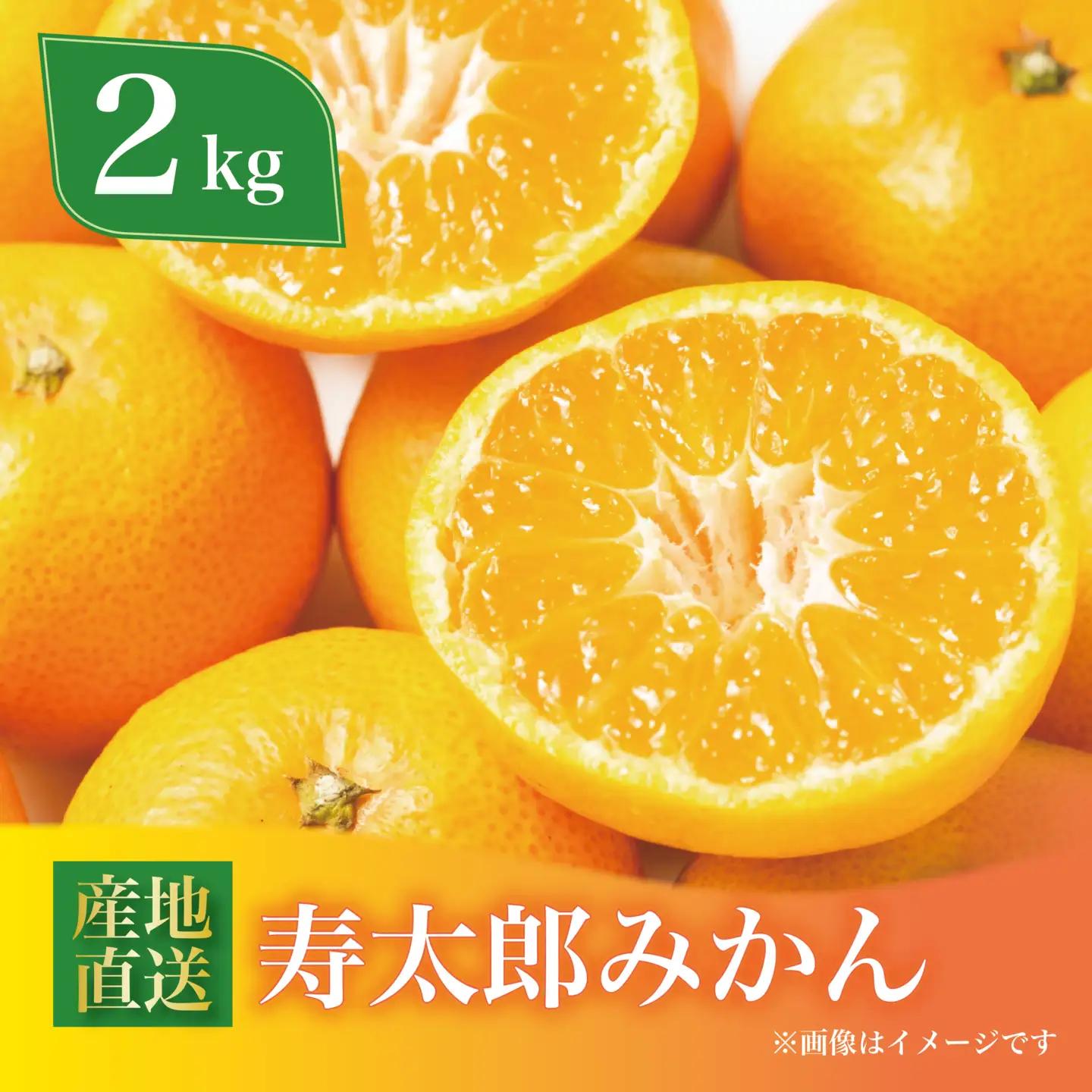 寿太郎みかん 約2kg ミカン みかん