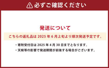 熊本県産 肥後グリーンメロン 4玉 計約4kg メロン 果物 くだもの フルーツ 【2025年6月上旬発送開始】