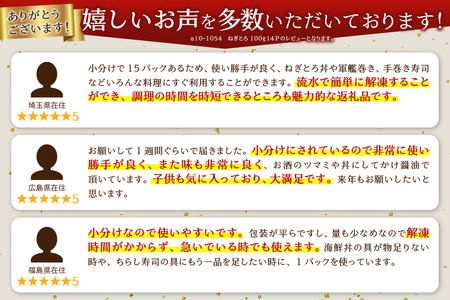 a10-770 【2023年7月21日リニューアル】甲羅組  天然 ねぎとろ100g 15P
