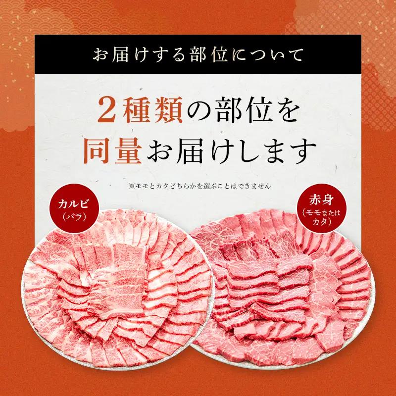 飛騨牛 焼肉セット 400g 焼肉 BBQ 牛肉 和牛 肉 霜降り バラカルビ 赤身 モモ カタ 詰め合わせ ギフト 御祝 内祝 2人前 大容量 岐阜県 坂祝町 養老ミート  F6M-393