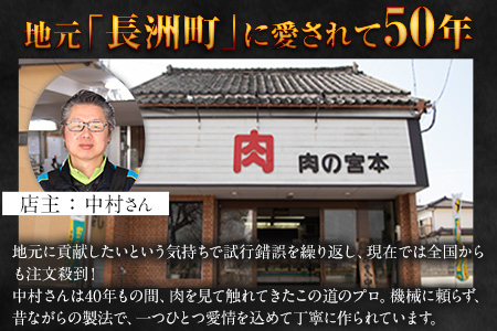 ハンバーグ 馬肉入り ハンバーグ(約150g×30個)　肉の宮本