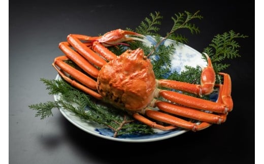 ＜お魚センターみくりや＞松葉かに（ボイル）約１ｋｇ×１枚【髙島屋選定品】