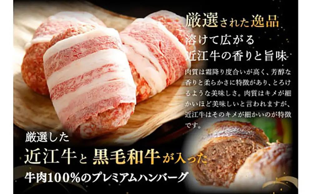 【PRキャンペーン対象】ハンバーグ 近江牛 プレミアム 750g (約 150g × 5個 ) ブランド 牛肉 黒毛和牛 【Y095W】