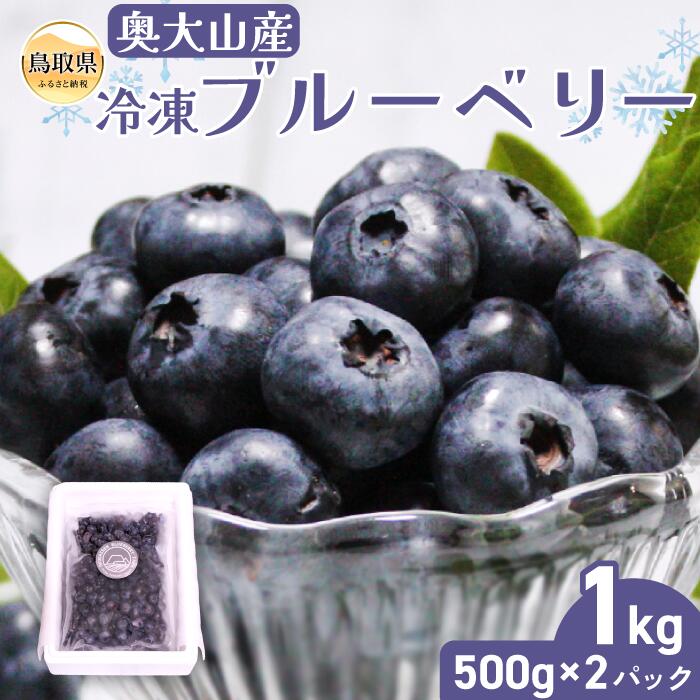 【ふるさと納税】B24-208 奥大山産冷凍ブルーベリー500g×2パック 鳥取県 おすすめ 大山 だいせん 奥大山 おくだいせん ブルーベリー 冷凍