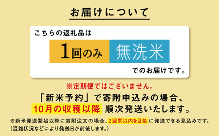 無洗米 新米 令和7年産 秋田県産あきたこまち 10kg