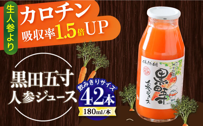 毎日!黒田五寸人参ジュース180ml 42本セット / ジュース じゅーす にんじん ニンジン 人参 ニンジンジュース 人参ジュース 野菜ジュース やさいジュース ドリンク 飲料水 / 大村市 / おおむら夢ファームシュシュ[ACAA132]
